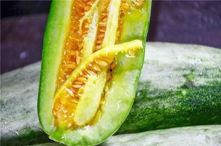 网红泡泡吃瓜,揭秘娱乐圈吃瓜背后的真相