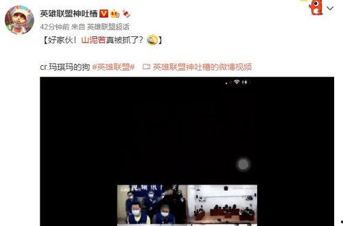 爆料神视频,爆料背后的惊人真相